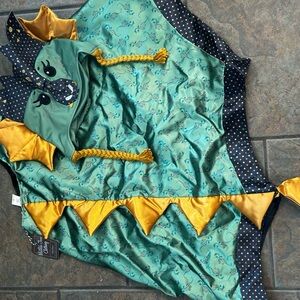 Matilda Jane Green and Gold Dragon Costume